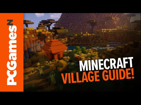 Minecraft village guide