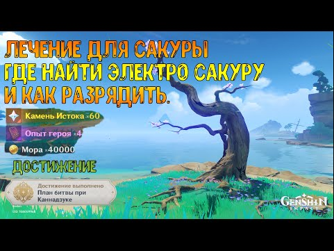 Лечение для сакуры. Где найти Электро сакуру и как разрядить. Достижение &quot;План битвы при каннадзуке&quot;